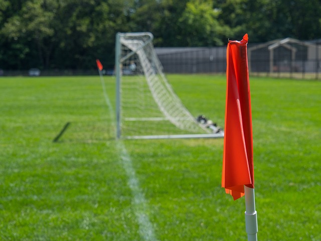 莫德里奇無 莫德里奇無