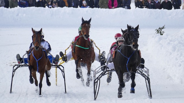 情仇的象征 情仇的象征