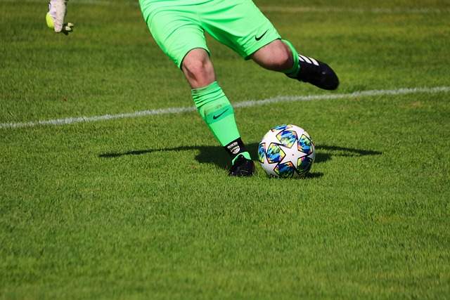 他们不仅无 他们不仅无