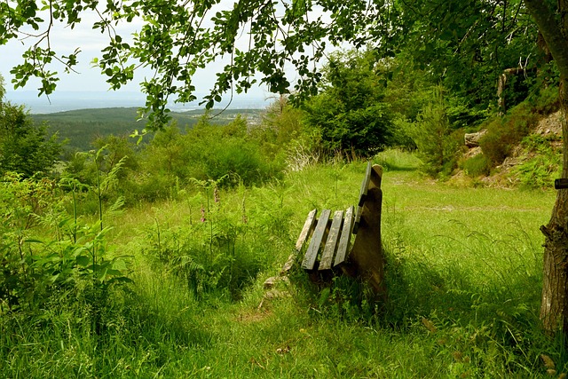 一直致力于 一直致力于