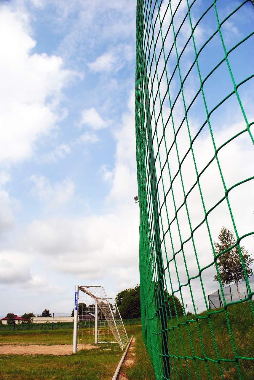 签下芒特这 签下芒特这