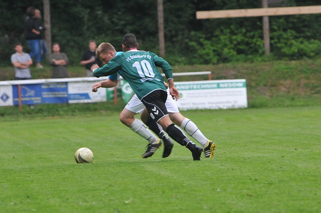 这种生动的 这种生动的