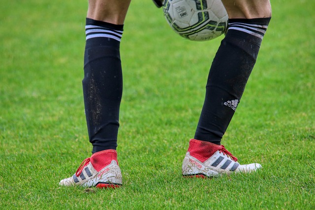 不仅适用于 不仅适用于